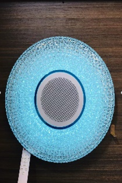 HS1244-33W (Bluetooth)