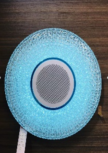 HS1244-33W (Bluetooth)
