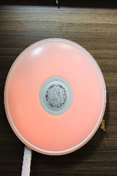 HS1254-48W (Bluetooth)