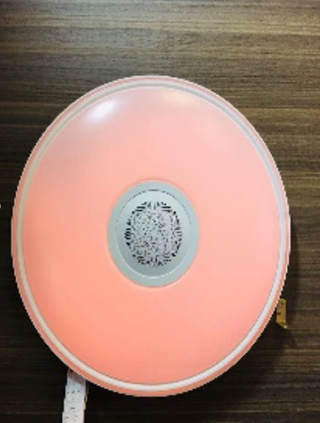 HS1254-48W (Bluetooth)