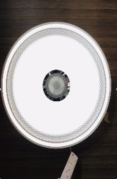 HS1261-33W (Bluetooth)