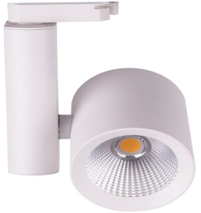 FOCOS DE CARRIL (R178-R179) 35W